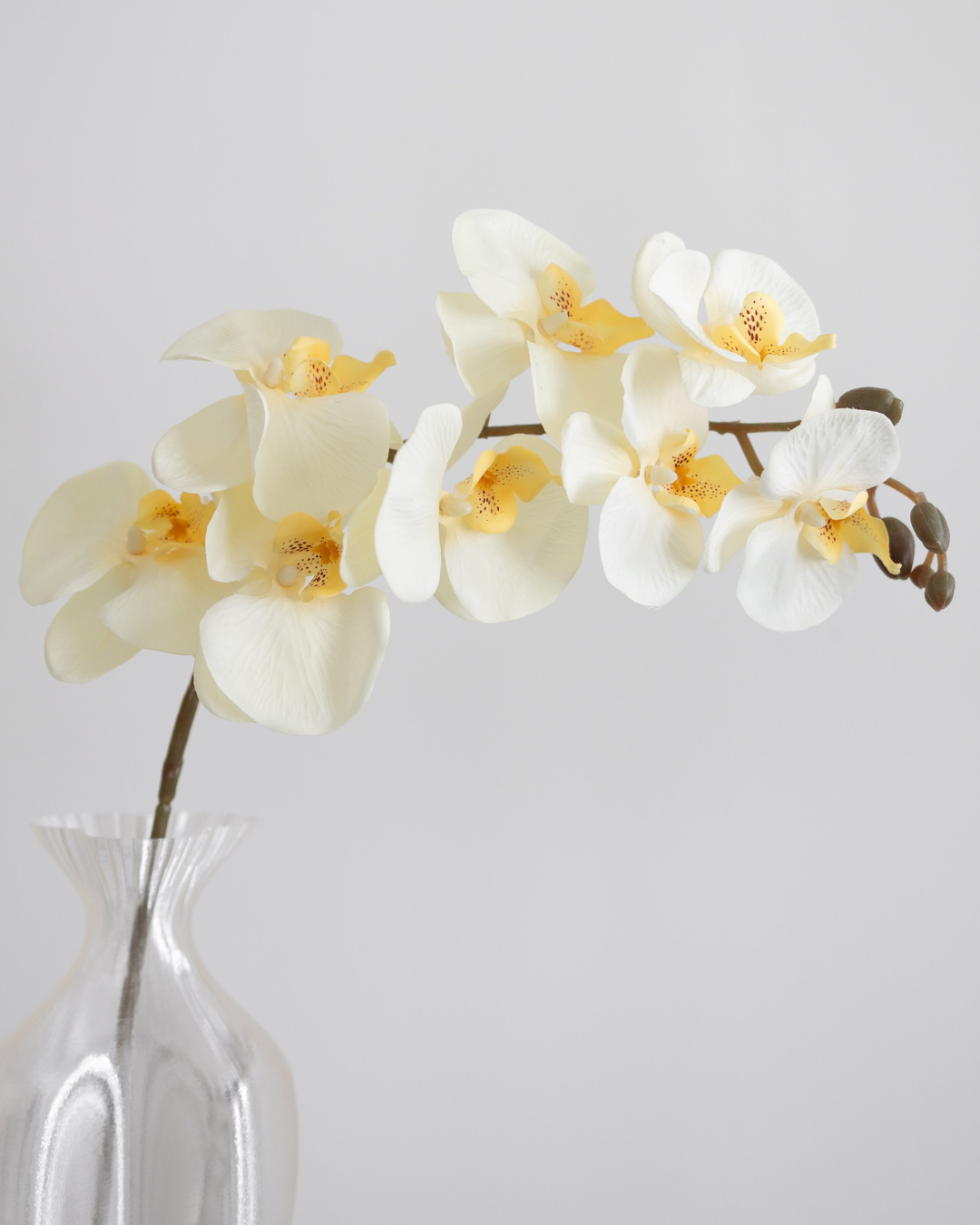 Artificial Orchid, Gul