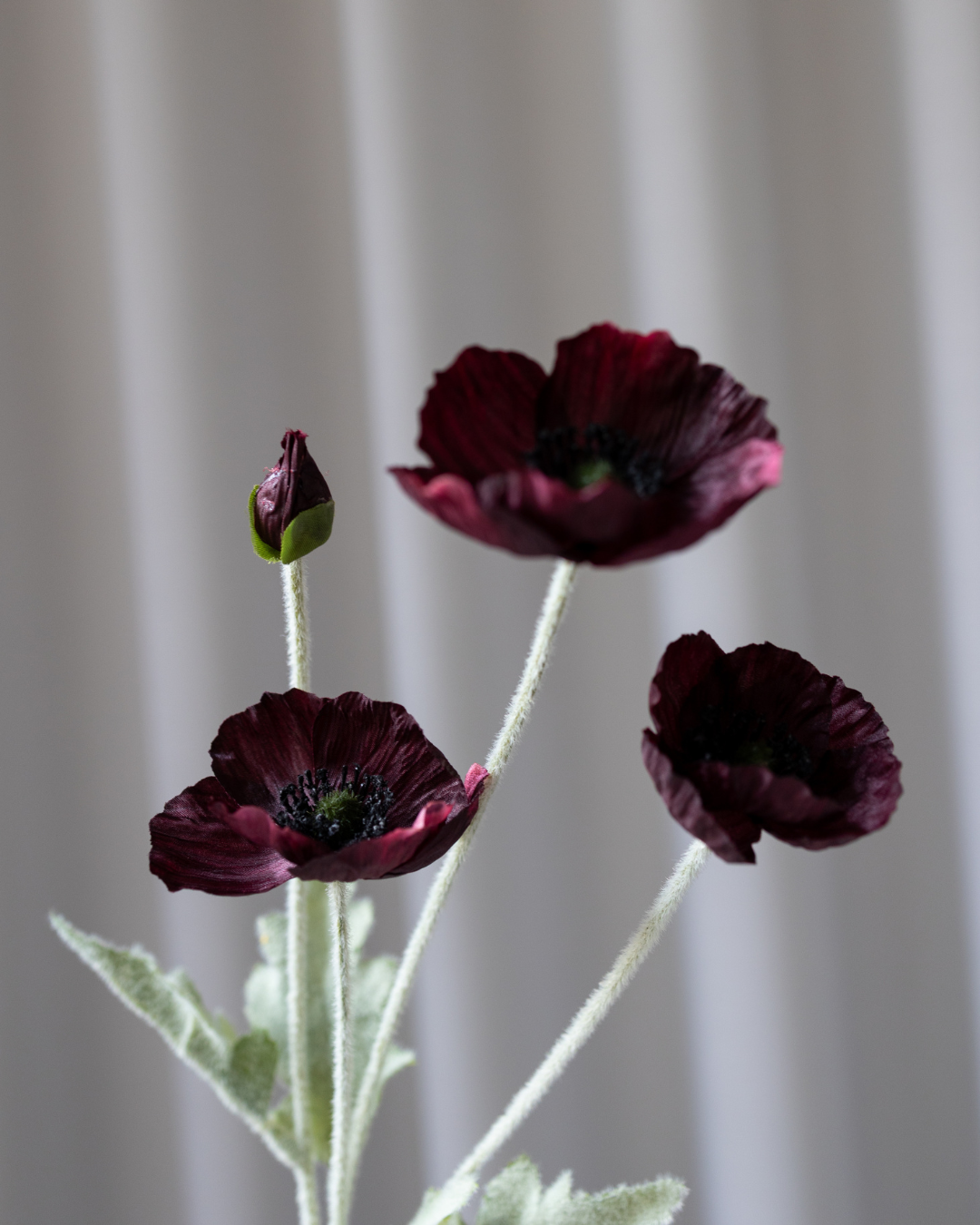 Artificial Poppy, Bordeaux