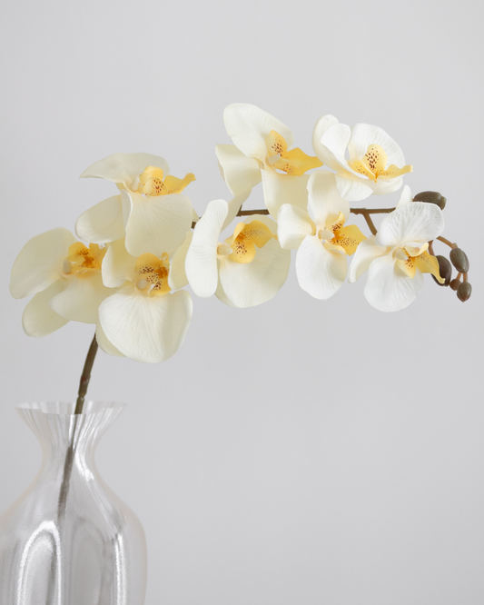 Artificial Orchid, Gul